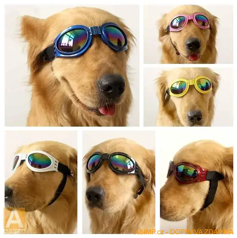 Motorkářské brýle pro psa & kočku (barva červená) / A-000275 / DOPRAVA ZDARMA