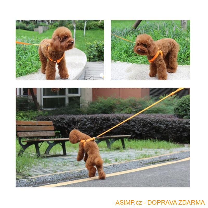 Svítící postroj pro psy / A-000552 / DOPRAVA ZDARMA
