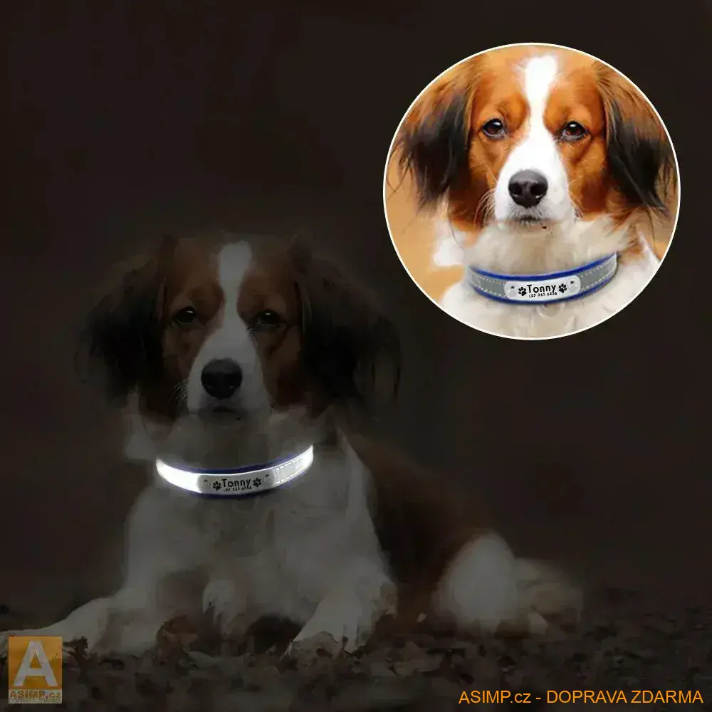 Reflexní obojek - (modrá - S) / A-000566 / DOPRAVA ZDARMA