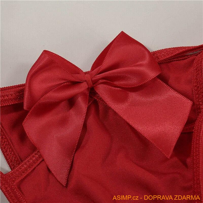 Dámské sexy prádlo / A-002209 / DOPRAVA ZDARMA