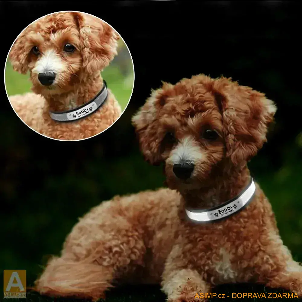 Reflexní obojek - (modrá - S) / A-000566 / DOPRAVA ZDARMA